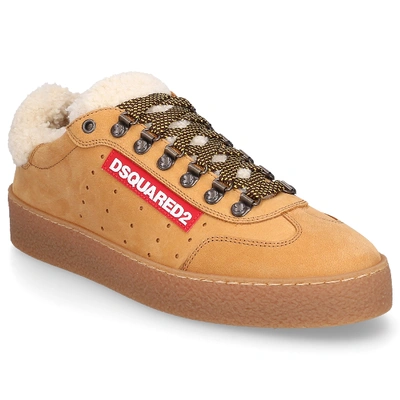 Shop Dsquared2 Low-top Sneakers Ted Nubuck In Beige