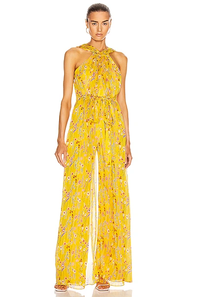 Shop Alexis Janina Jumpsuit In Sunrise Bouquet