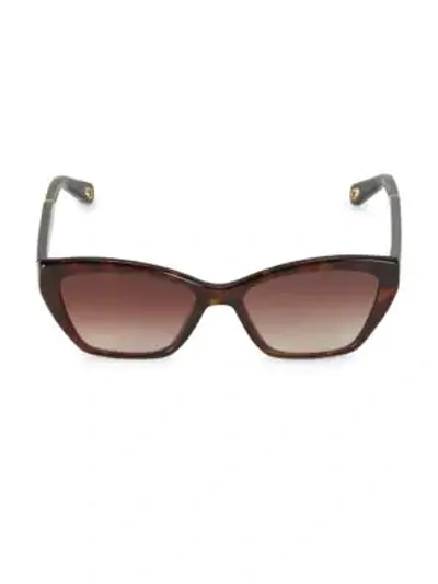 Shop Chloé Willow 56mm Cat Eye Sunglasses In Tortoise