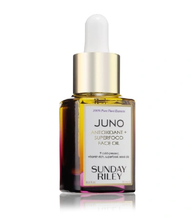 Shop Sunday Riley Juno Hydroactive Cellular Face Oil (15 Ml) In White