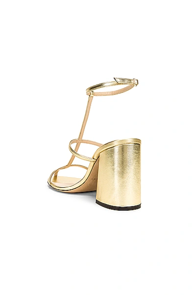 Jimmy choo online linley