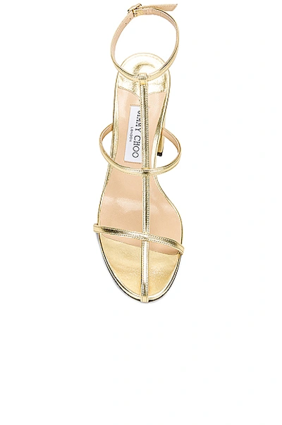 Jimmy choo online linley