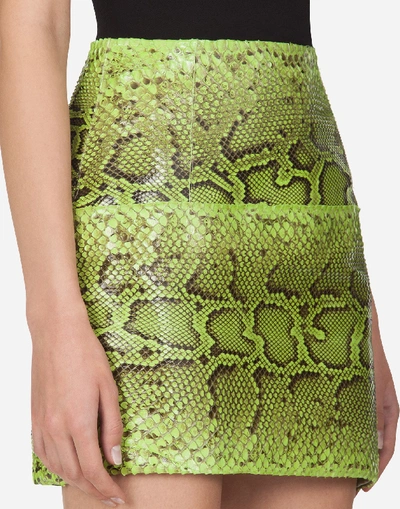 Shop Dolce & Gabbana Short Skirt In Python