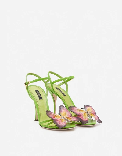 Shop Dolce & Gabbana Nappa Leather Sandals With Butterfly Appliqué In Green