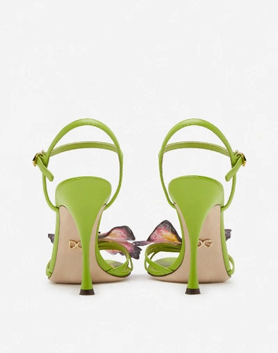 Shop Dolce & Gabbana Nappa Leather Sandals With Butterfly Appliqué In Green