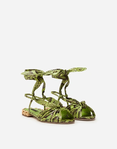 Shop Dolce & Gabbana Sandals In Python With Heel In Wicker In Green