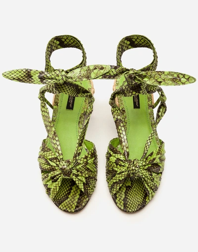 Shop Dolce & Gabbana Sandals In Python With Heel In Wicker In Green