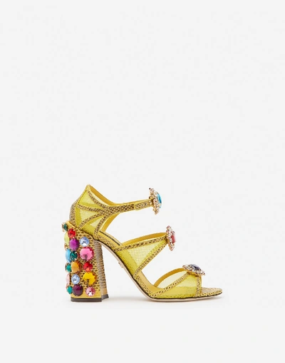 Shop Dolce & Gabbana Ayers Sandals With Stone Embroidery In Yellow