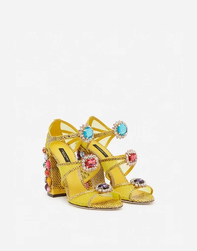 Shop Dolce & Gabbana Ayers Sandals With Stone Embroidery In Yellow