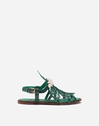 Shop Dolce & Gabbana Sandals In Python And Mesh With Bejeweled Embroidery In Green