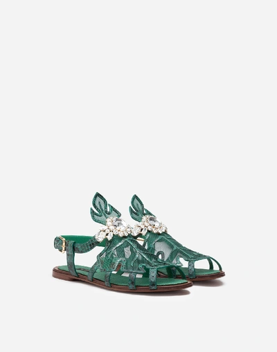 Shop Dolce & Gabbana Sandals In Python And Mesh With Bejeweled Embroidery In Green