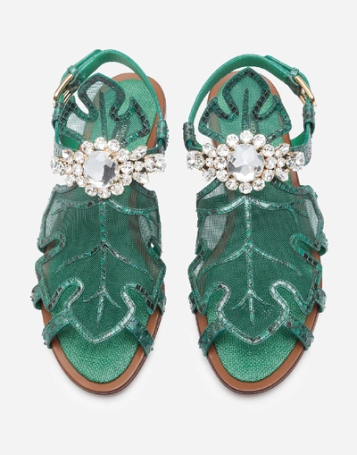 Shop Dolce & Gabbana Sandals In Python And Mesh With Bejeweled Embroidery In Green