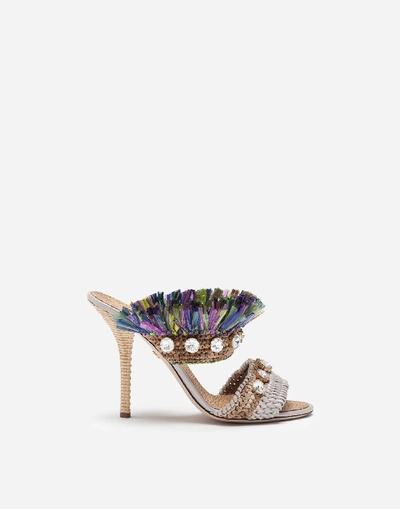 Shop Dolce & Gabbana Mules In Straw With Bejeweled Embroidery