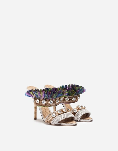 Shop Dolce & Gabbana Mules In Straw With Bejeweled Embroidery
