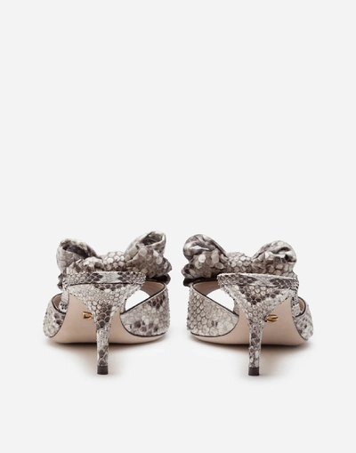 Shop Dolce & Gabbana Python Sliders With Bow
