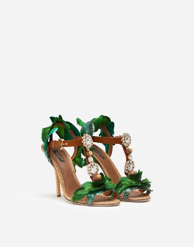 Shop Dolce & Gabbana Sandals In Cowhide With Leaf Appliqué And Bejeweled Embroidery