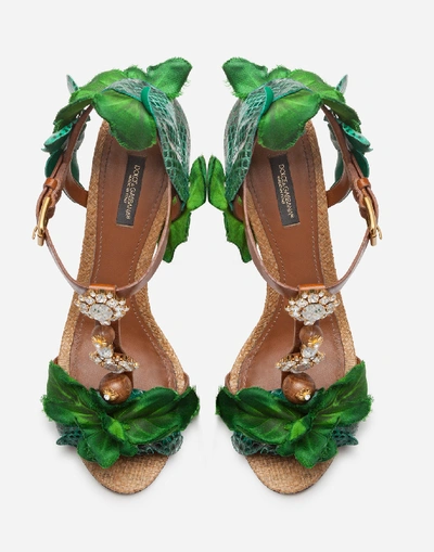 Shop Dolce & Gabbana Sandals In Cowhide With Leaf Appliqué And Bejeweled Embroidery