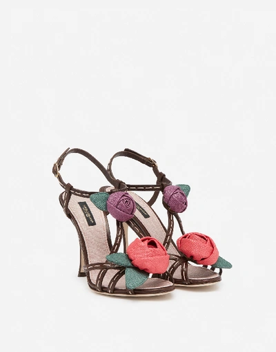 Shop Dolce & Gabbana Sandals In Polished Cowhide With Rose Appliqué In Brown/pale Pink