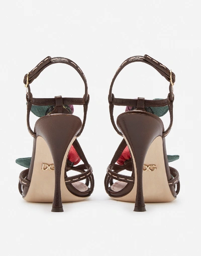 Shop Dolce & Gabbana Sandals In Polished Cowhide With Rose Appliqué In Brown/pale Pink