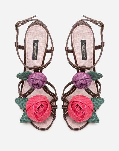 Shop Dolce & Gabbana Sandals In Polished Cowhide With Rose Appliqué In Brown/pale Pink