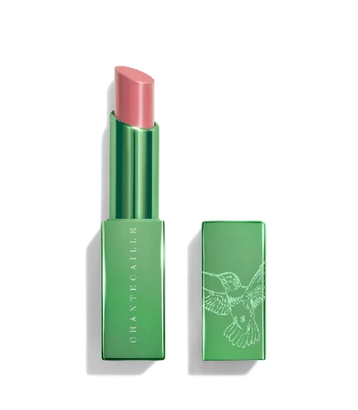 Shop Chantecaille Lip Chic  Honeysuckle In N/a
