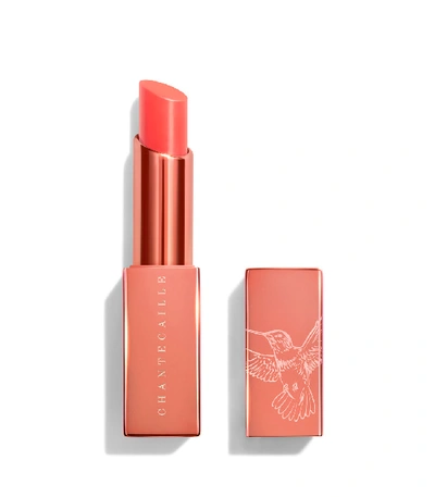 Shop Chantecaille Lip Chic  Passion Flower In N/a