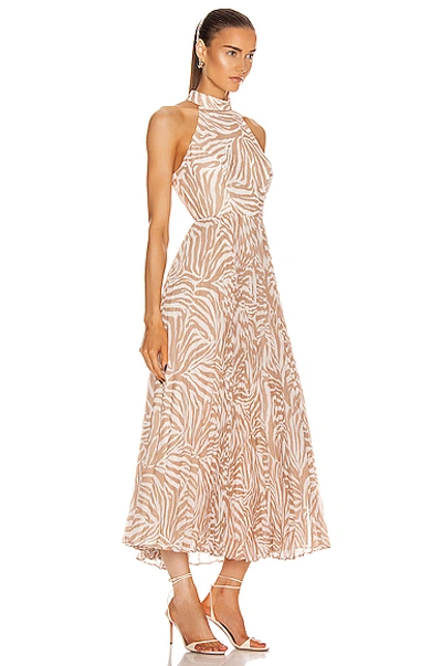 Shop Zimmermann Sunray Picnic Dress In Sand Zebra