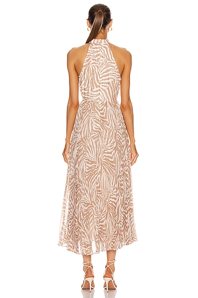 Shop Zimmermann Sunray Picnic Dress In Sand Zebra