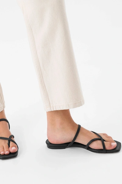 Shop Aeyde Marina Leather Slides In Black