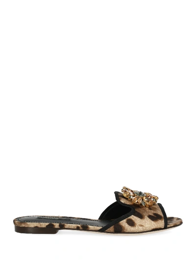 Shop Dolce & Gabbana Slippers In Beige, Black, Brown