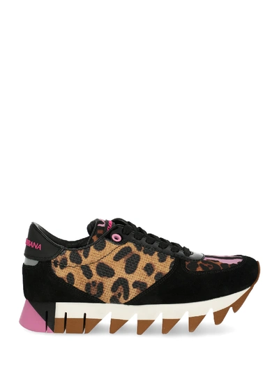 Shop Dolce & Gabbana Shoe In Black, Brown, Pink