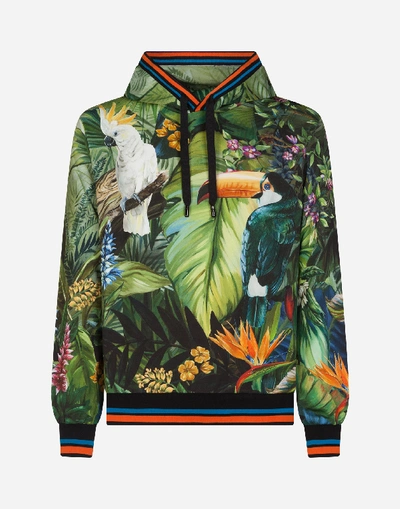 Shop Dolce & Gabbana Jersey Hoodie With Jungle Print In Multicolored