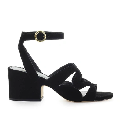 Shop Michael Kors Annalee Mid Black Suede Sandal