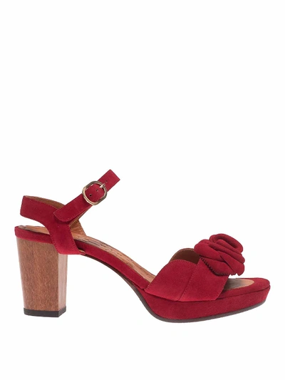 Shop Chie Mihara Blossom Sandals In Red