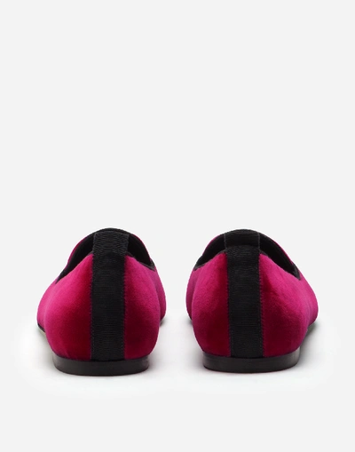 Shop Dolce & Gabbana Velvet Devotion Slippers In Fucsia/black