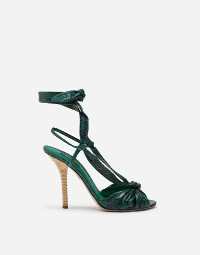 Shop Dolce & Gabbana Sandals In Python With Heel In Wicker In Green