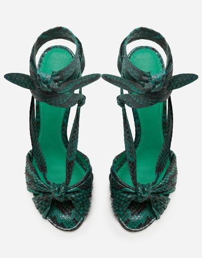 Shop Dolce & Gabbana Sandals In Python With Heel In Wicker In Green