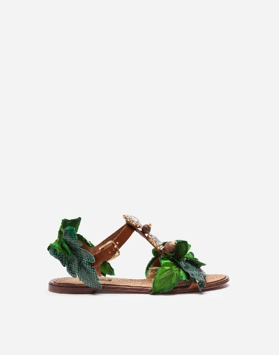 Shop Dolce & Gabbana Sandal In Cowhide With Leaf Appliqué And Bejeweled Embroidery