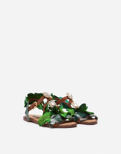 Shop Dolce & Gabbana Sandal In Cowhide With Leaf Appliqué And Bejeweled Embroidery