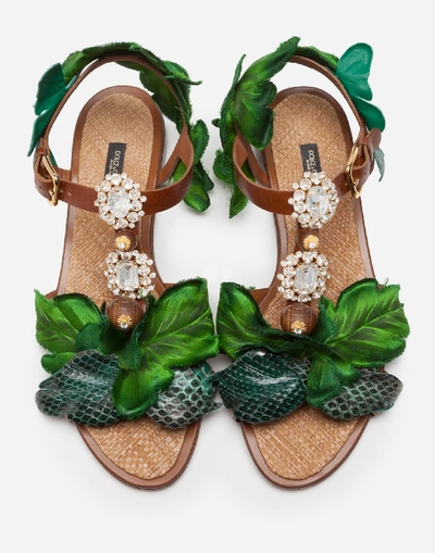 Shop Dolce & Gabbana Sandal In Cowhide With Leaf Appliqué And Bejeweled Embroidery