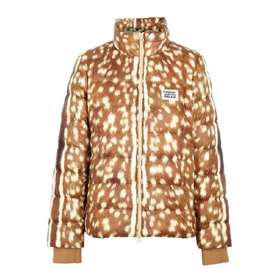 Shop Burberry Colinton Printed Quilted Shell Jacket In Honey