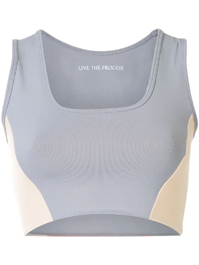 Shop Live The Process Transcend Strong-support Bra In Grey