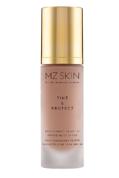 Shop Mz Skin Tint & Protect Skin Perfecting Spf 30 Tinted Moisturizer