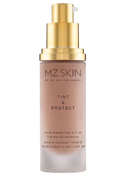 Shop Mz Skin Tint & Protect Skin Perfecting Spf 30 Tinted Moisturizer