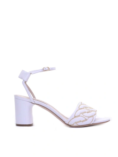 Shop Casadei Studs Sandals In White