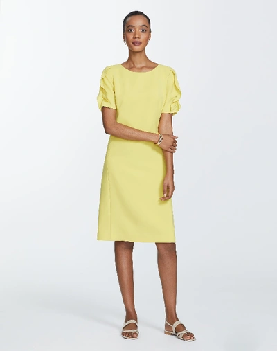 Shop Lafayette 148 Finesse Crepe Winslow Dress In Quince
