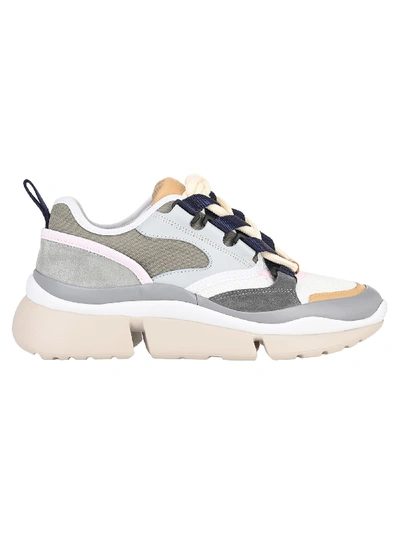 Shop Chloé Chloe Sonnie Low-top Sneakers In Elphant Grey