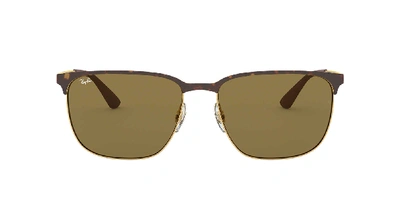 Shop Ray Ban Ray In Dark Brown Classic B-15