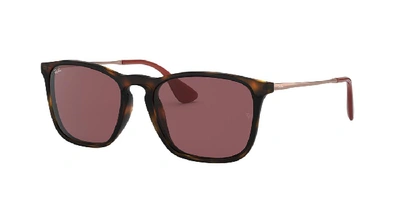 Shop Ray Ban Ray In Dark Violet Classic
