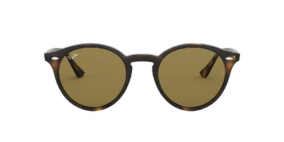 Ray Ban Ray In Dark Brown Classic B-15